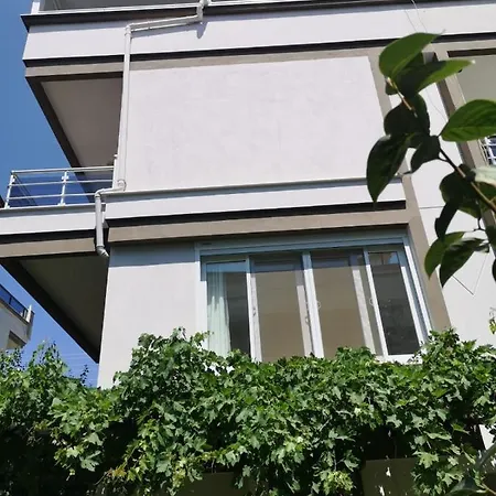 Doktordan Izmir Gumuldur Ozderede Deniz Ve Orman Manzarali *